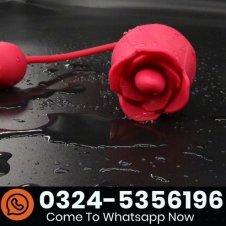 Big Shocked Sex Toys Rose Sex Toy Vibrator In Pakistan