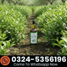 Intimify Tea Tree Essential Oil Price in Pakistan