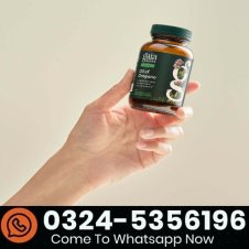 Gaia Herbs Oil Of Oregano In Pakistan