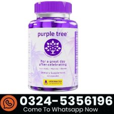 Purple Tree Post-Celebration Wellness Supplement In Pakistan